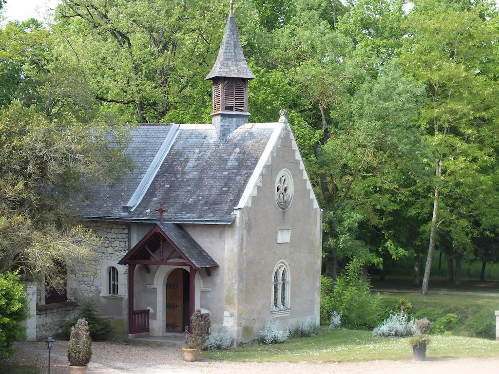 Chateau De Naze Vivy-Saumur Dış mekan fotoğraf