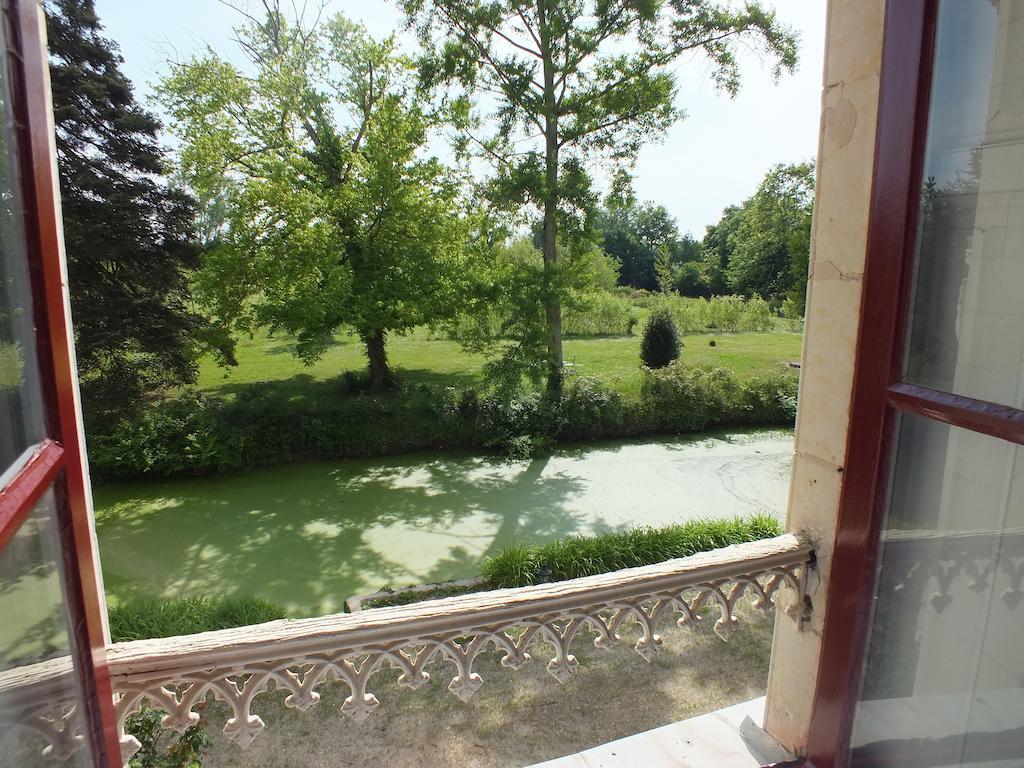 Chateau De Naze Vivy-Saumur Dış mekan fotoğraf