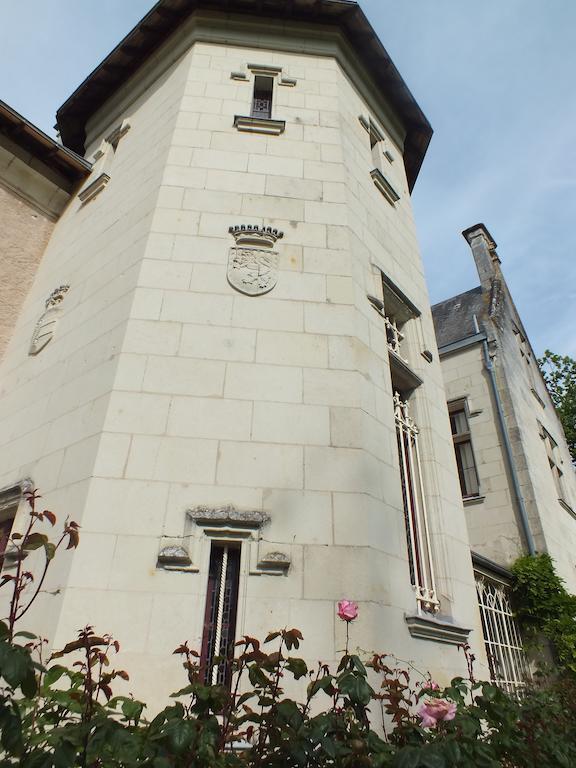 Chateau De Naze Vivy-Saumur Dış mekan fotoğraf